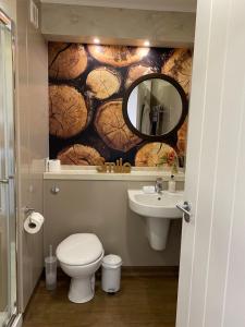 uma casa de banho com um WC, um lavatório e um espelho. em Fox Lodge with Hot Tub em Cupar