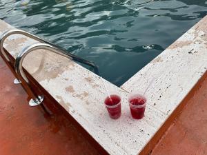 dos bebidas sentadas en una cornisa junto al agua en Varga Kvareli, en Kvareli