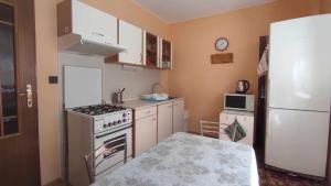 Kuchyň nebo kuchyňský kout v ubytování Apartmán Vika