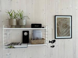 a shelf on a wall with plants and a picture at BUQEZ ECO RESORT - Beach Villas 2 and 8 - Seaview, new wifi! in Drage