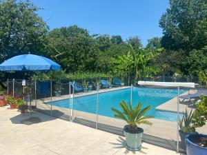 a swimming pool with an umbrella and a palm tree at Villa Toulousaine in Grisolles