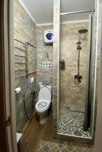 La salle de bains est pourvue de toilettes et d'une douche. dans l'établissement Hostel 5 Сapsule - rooms, à Öskemen