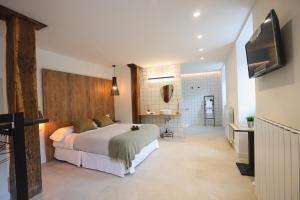 een slaapkamer met een bed en een televisie. bij GOIZARTE Apartamentos turísticos rurales. 