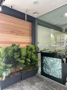 a kitchen with plants in a room with a counter at D'Garden Hotel Kuala Lumpur in Kuala Lumpur