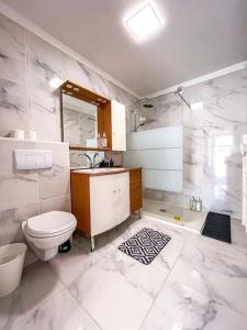 a bathroom with a toilet and a sink and a shower at Le Convivial • Stationnement Facile • Paisible in Déols
