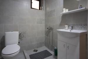 a bathroom with a toilet and a sink at Woodland Brezna in Plužine