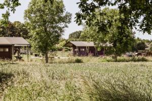 a house in the middle of a field with trees at Hof ter Pierlapont Brugge by Feather Down in Zedelgem