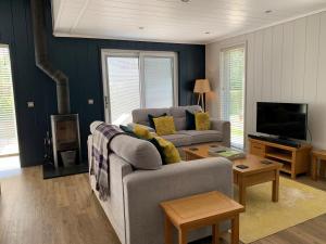 a living room with a couch and a tv at The Retreat, Strawberryfield Park in Cheddar