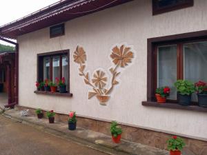 uma casa com vasos de plantas ao lado em Casa Simerea em Mălini