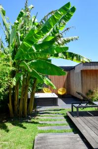 グジャン・メストラにあるFare Bambouのベンチ付きの庭のバナナの木