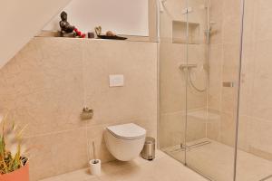 a bathroom with a toilet and a glass shower at Ferienwohnungen an der Hauptspree in Kolonie