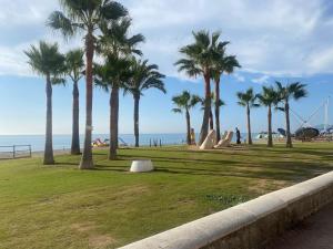 un parc avec des palmiers à côté de la plage dans l'établissement Apartamento Playa Fuengirola, à Fuengirola