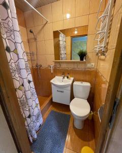 a bathroom with a toilet and a sink and a mirror at SEWANA Pokoje Gościnne i Domki Letniskowe in Mikołajki