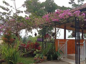 een tuin met een pergola met bloemen en planten bij NUANSA HOMESTAY Authentic&Hospitality in Rantepao