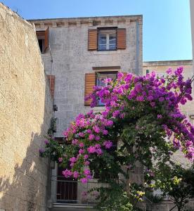 Fotografie z fotogalerie ubytování Zamaria Apartments v destinaci Vis