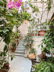 Zamaria Apartments في فيس: حديقة بها مجموعة من النباتات الفخارية والسلالم