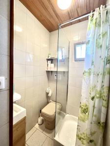 y baño con aseo y cortina de ducha. en Charmant Studio 25 m² avec mezzanine et piscine, en Tilh