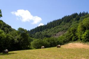 a grassy hill with hay bales in a field at Auberge de Lascours in Ceilhes-et-Rocozels +2 photos