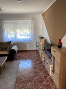 ein Wohnzimmer mit einem Sofa und einem TV in der Unterkunft House Damado Deluxe in Öttevény