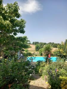 un jardin avec une piscine en arrière-plan dans l'établissement Chez Pepette et Serge, à Montdragon