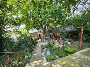 a garden with a tree and a house at Casa ROOL in Turda