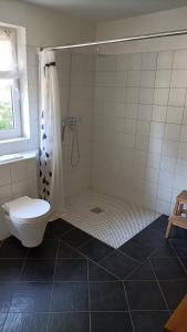 a bathroom with a shower with a toilet and a shower curtain at Casa Verde Sinnerthal in Neunkirchen