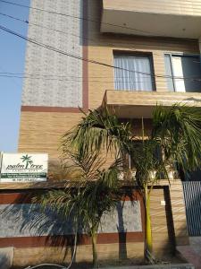 a building with palm trees in front of it at The Palm Tree -Family Stay in Amritsar