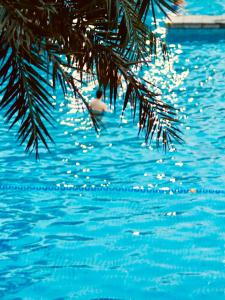 Bazén v ubytování The Yun Resort QingYuan nebo v jeho okolí