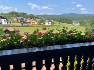 a view from the balcony of a house with flowers at Hotel Sonnenhof - Superior in Zwiesel