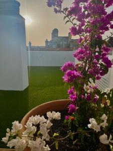 um vaso de flores com flores roxas e brancas em GATU PREMIUM Las Caracolas, Aire C, parking y wifi em El Puerto de Santa María