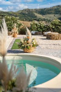 a swimming pool with plants in a garden at Agriturismo Sa Tanca Noa in Tergu