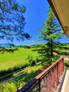 San Ginesio的住宿－Affittacamere Sanja，阳台享有绿色田野的景色。