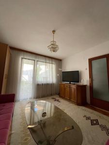 TV a/nebo společenská místnost v ubytování Apartment Grape Sarajevo