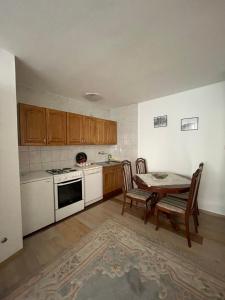 Kuchyň nebo kuchyňský kout v ubytování Apartment Grape Sarajevo + 15 fotografií