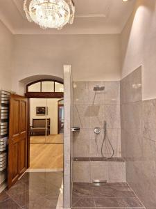 a bathroom with a shower and a chandelier at Stadtpalais Marché-Suite maximal 2 Personen und 1 Kleinkind in Bautzen