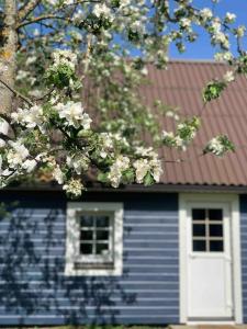 una casa azul con una puerta blanca y un árbol florido en Lovely Tiny House en Kelmė