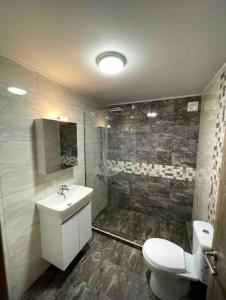 ein Bad mit einem WC, einem Waschbecken und einer Dusche in der Unterkunft Modern house in Stratoni in Stratoni