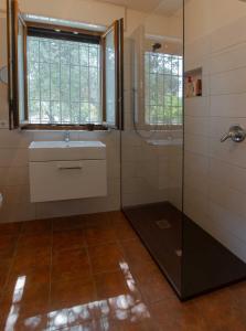 uma casa de banho com um lavatório e um chuveiro em Residenza alla Battaglia em Villa Castelli