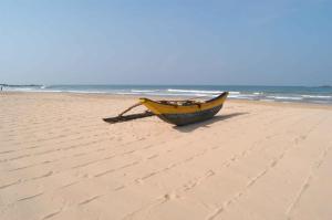 Phong cảnh thiên nhiên gần resort