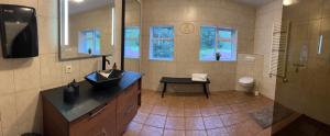 a large bathroom with a sink and a toilet at Jökla Guesthouse in Skjöldólfsstaðir +49 photos