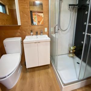 a bathroom with a toilet sink and a shower at R Garden in Yamanakako +46 photos