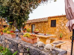 Vonkajšia záhrada v ubytovaní Live Buenavista El Palmar