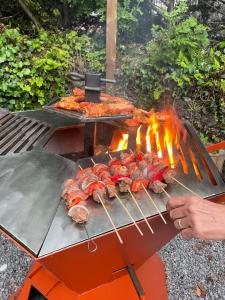 een grill met een hoop eten erop bij Le Monrepos avec jacuzzi nordique in Bielle