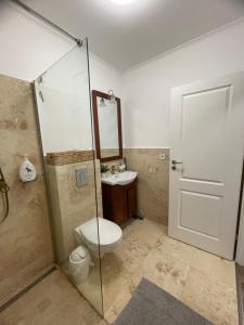 a bathroom with a toilet and a shower and a sink at Apartament CETATE ALBA CAROLINA in Alba Iulia +36 photos