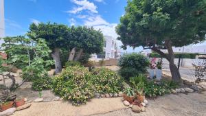 a garden with flowering plants and trees and a house at Vacaciones de ensueño in Mojácar