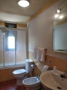 a bathroom with a toilet and a sink and a mirror at Hotel Condado de Miranda in Miranda del Castañar