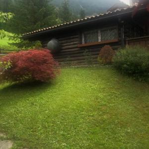 a log cabin with a yard in front of a house at Chalet Rosj in Moena