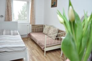 ein Wohnzimmer mit einem Sofa und einem Fenster in der Unterkunft Gloriett Panzió in Fertőboz