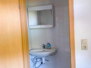 a bathroom with a sink and a mirror at Ferienwohnung Jana in Blankenhagen