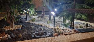 Ogród w obiekcie HATO Holiday Home Fuerteventura